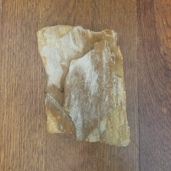 Petrified Wood Display Specimen Mitchell County Nc. 1lb 12oz. - Picture 3 of 10